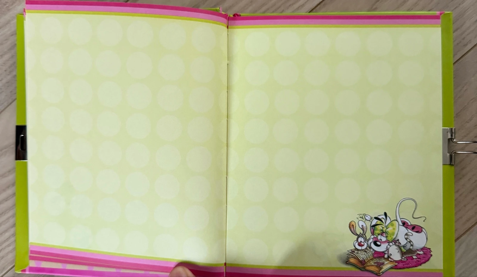 Page de journal intime Diddl 